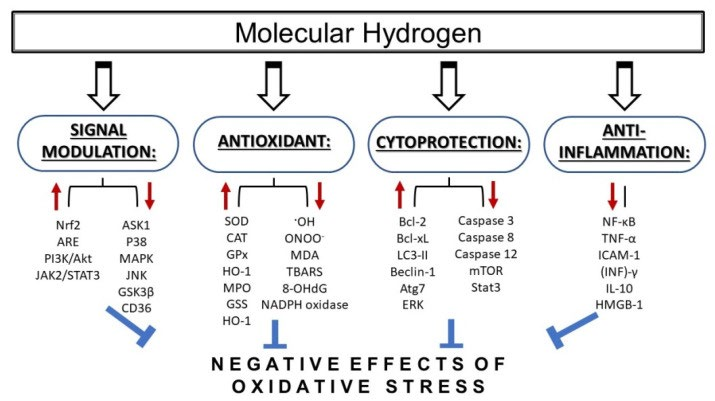 Hydrogen Research Chart